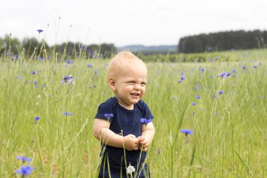Funny smiling infant kid in the field of blue cornflowers clipart