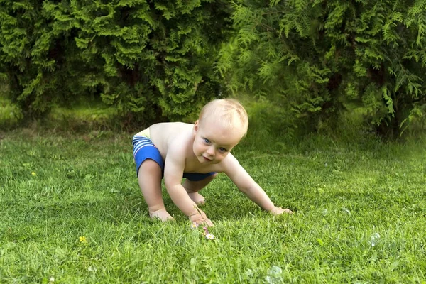Outdoor Capoeira training. Amazing toddler mooving in Capoeira style Stock Picture