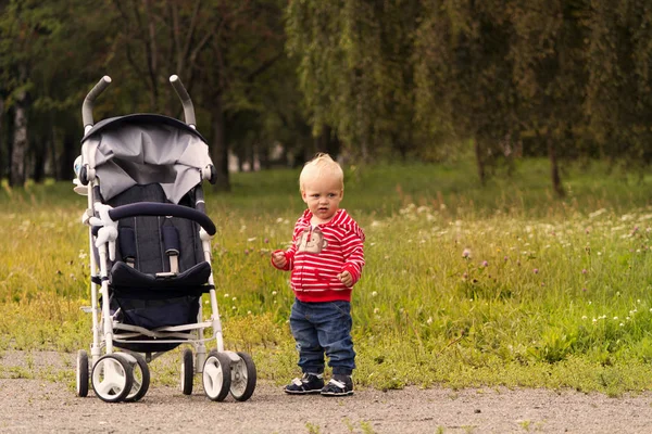 Schattig peuter op de wandeling. Grappig jongetje permanent in de buurt van de wandelwagen in het park. Kopiëren van ruimte — Stockfoto