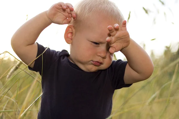 Upset toddler stands in the wheat field at sunset — Stock Photo, Image