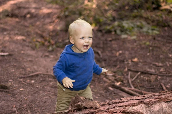 Roztomilý lauginhg chlapeček v podzimním lese — Stock fotografie