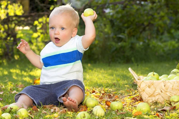 Концепция фестиваля урожая. Очаровательный мальчик сидит среди желтых листьев и зеленых яблок. Копирование пространства — стоковое фото