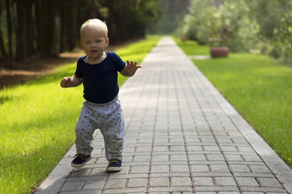 Танцующий малыш в парке. Первые независимые шаги милого годовалого мальчика — стоковое фото