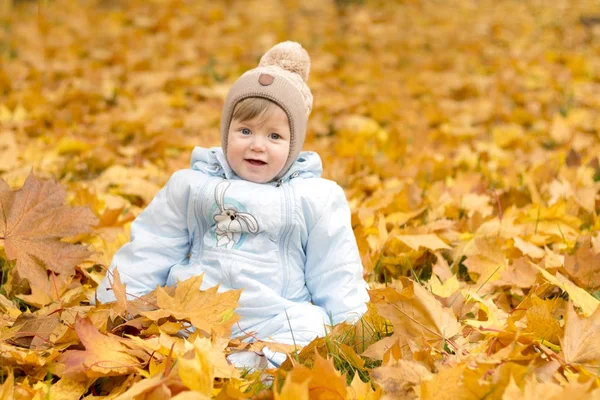 Милый мальчик играет в осеннем парке. Забавный ребенок сидит среди жёлтых листьев. Очаровательный малыш с дубом и кленовым листом. Осенняя листва. Осенняя концепция — стоковое фото