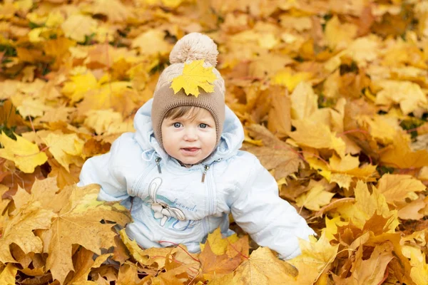 Ładny chłopczyk grając w jesienny park. Zabawne dziecko siedzi wśród żółte liście. Śliczny maluch z liści dębu i klonu. Spadek liści. Koncepcja jesień Obraz Stockowy