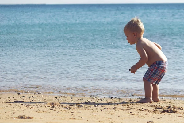 Twee jaar blond baby plukken, verzamelen, spelen en zeeschelpen in de hand tellen bij gouden zand strand kust — Stockfoto