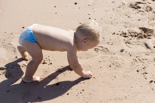 Ξανθιά μωρό δύο χρόνια μαζεύοντας, συλλογή, παίζοντας και μετρώντας τα κοχύλια στο χέρι στην χρυσή αμμώδη παραλία Ακτή — Φωτογραφία Αρχείου