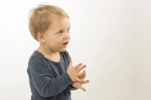 Uberraschter Kleiner Junge Isoliert Auf Weissem Hintergrund Niedliches Kleinkind Mit Fragendem Gesichtsausdruck Liebenswertes Kind Das Fragt Was Los Ist Kopierraum Suss Erstaunlich Stock Photo 188386684