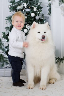 Çocuk kar Samoyed kucaklayan