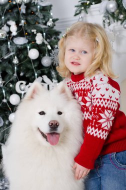 Kız kar Samoyed kucaklayan
