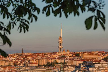 Prag / Çek Cumhuriyeti - 23 Mayıs 2019: Güneşli bir bahar akşamında Zizkov televizyon kulesiyle şehir manzarası. Mavi ve pembe akşam gökyüzü. Yeşil kestane çerçeveli resim bırakır.
