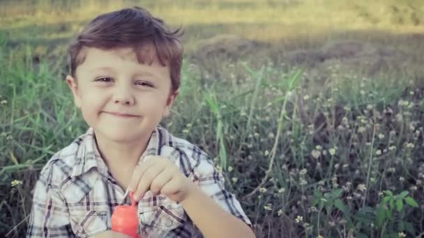 Портрет Счастливый Маленький Мальчик Сидит Парке Дневное Время — стоковое видео