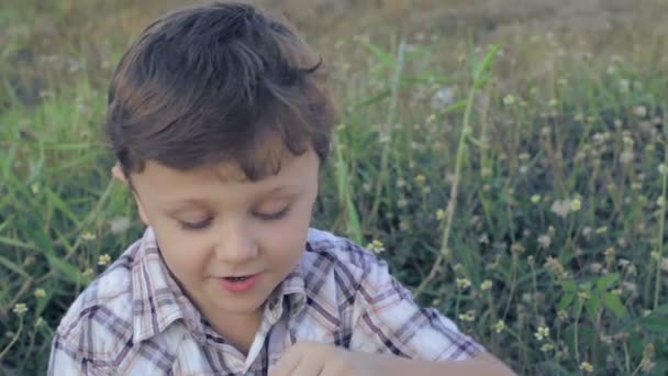 Портрет Щасливий Маленький Хлопчик Сидить Парку День — стокове відео