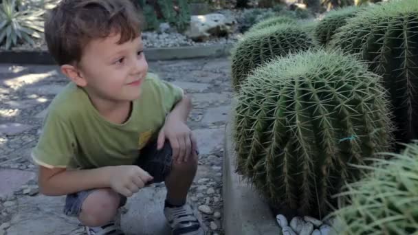 Retrato Menino Feliz Sentado Parque Hora Dia — Vídeo de Stock