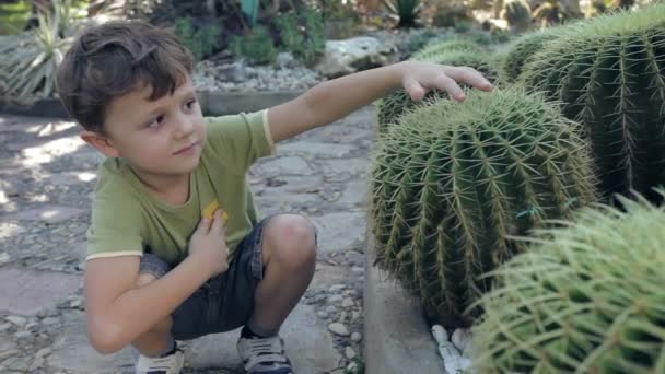 Portrét Šťastný Malý Chlapec Sedí Parku Dne — Stock video