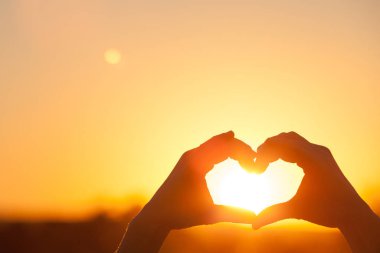 gün batımı sırasında eller silüeti. Hayat kavramı.