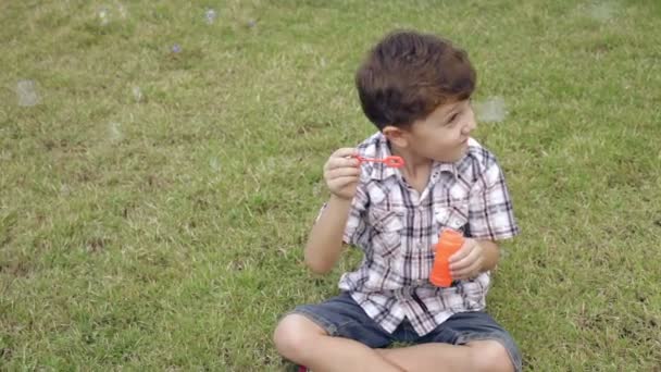 Portrét Šťastný Malý Chlapec Sedí Parku Dne — Stock video