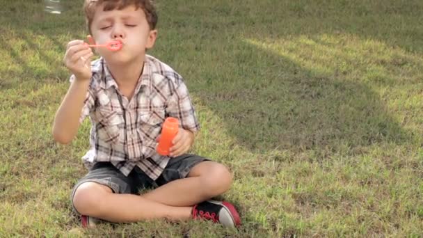 Портрет Счастливый Маленький Мальчик Сидит Парке Дневное Время — стоковое видео