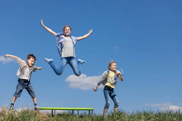 兄弟姐妹们在球场上玩耍的时候 人们在户外玩得很开心 他们在草地上跳蹦床 友好家庭概念 — 图库照片