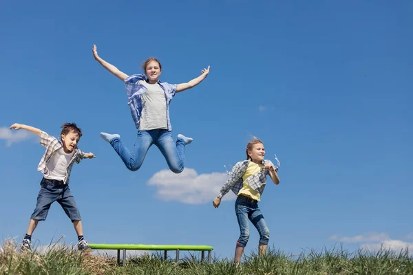 Broer Zusters Het Veld Spelen Het Moment Van Dag Mensen — Stockfoto