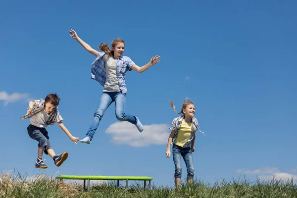 Broer Zusters Het Veld Spelen Het Moment Van Dag Mensen — Stockfoto