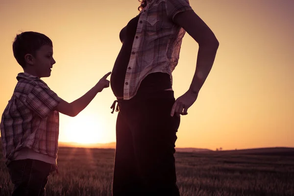 Mor Och Son Går Fältet Vid Solnedgången Folk Som Har — Stockfoto