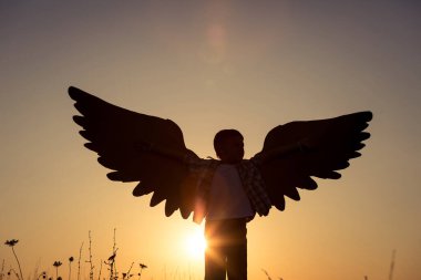 Küçük çocuk gün batımında parkta karton oyuncak kanatlarla oynuyor. Mutlu oyun kavramı. Çocuk dışarıda eğleniyor..