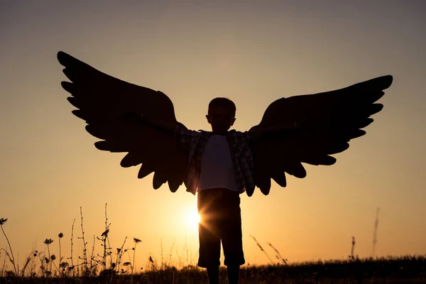 Niño Jugando Con Alas Juguete Cartón Parque Atardecer Concepto Juego — Foto de Stock