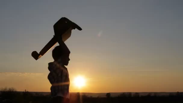 Niño Jugando Con Avión Juguete Cartón Parque Atardecer Concepto Juego — Vídeo de stock