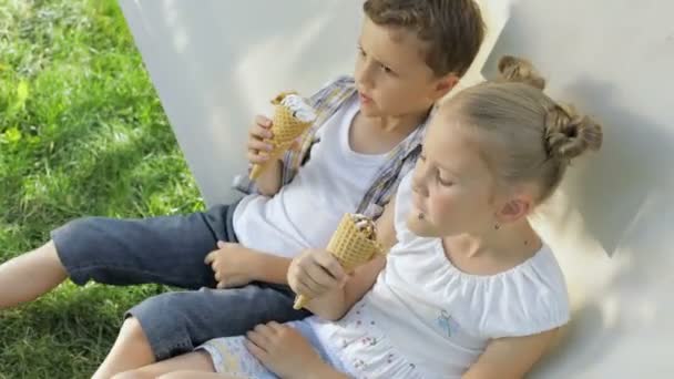 Två Glada Barn Äter Glass Parken Dagen Begreppet Hälsosam Mat — Stockvideo