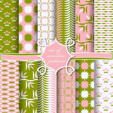 Sorunsuz vektör çizimler kümesi. Soyut şekiller ve dekoratif çiçek