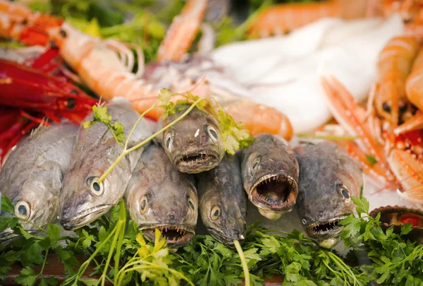 Fiskmarknaden. — Stockfoto