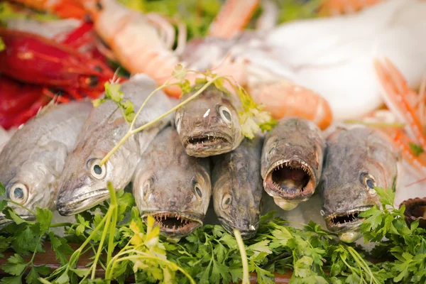 Fiskmarknaden. — Stockfoto