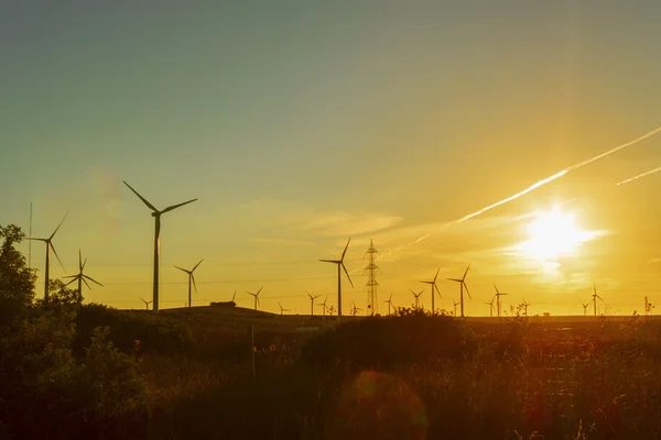 Elektrische windmolens. — Stockfoto