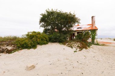 Graffiti sanatı terk edilmiş binalar üzerinde.