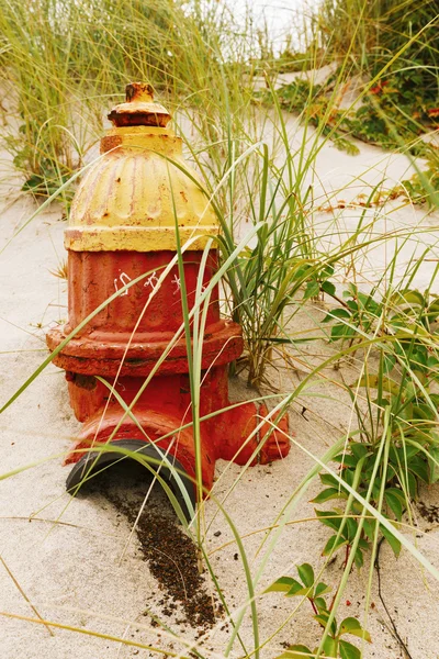 Požární hydrant v písečné duny. — Stock fotografie