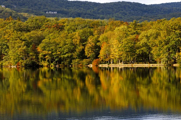 森の湖の秋風景. — ストック写真