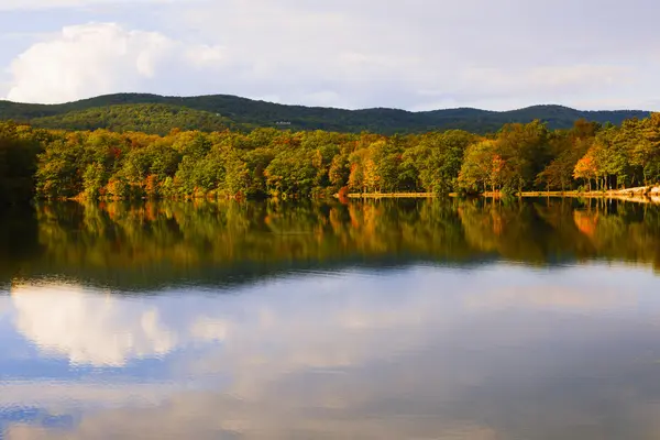 Krajina na podzim na lesní jezírko. — Stock fotografie