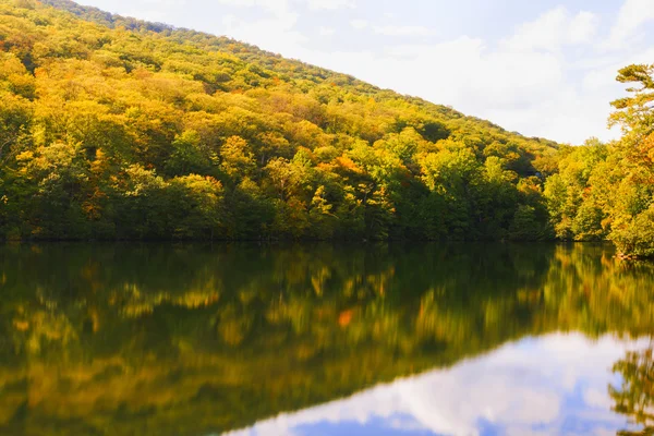 Herfst landschap op het bos meer. — Stockfoto
