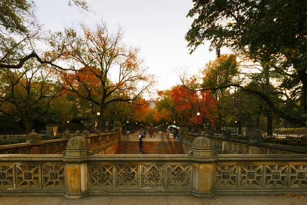 Central park på hösten. — Stockfoto