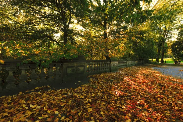 秋天的中央公园. — 图库照片