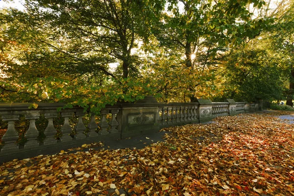 Central park på hösten. — Stockfoto