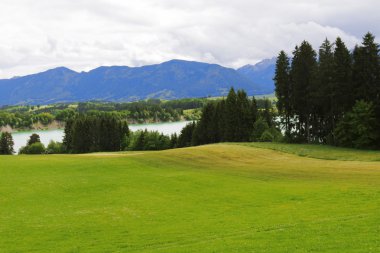Bavyera Alp manzara.