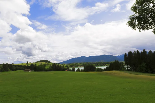 Bavyera Alp manzara.