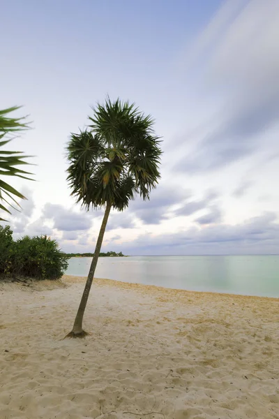 Puesta de sol en una hermosa playa del Caribe . — Foto de Stock