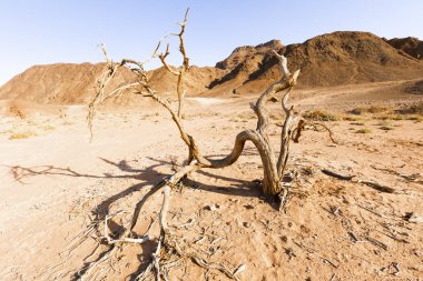 Timna Vadisi İsrail Çölü'nde görünümünü.