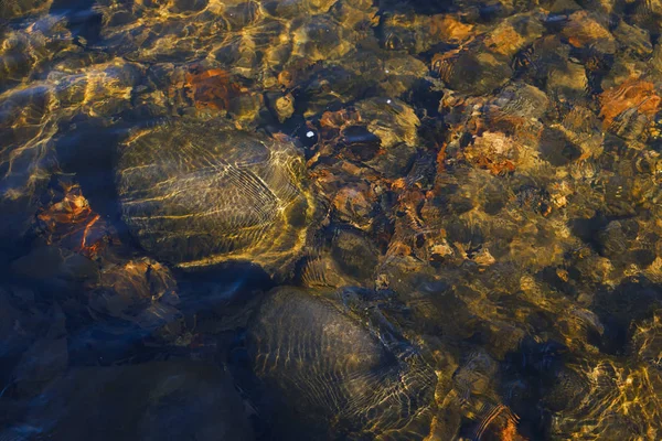 Torrente di montagna rocciosa. — Foto Stock