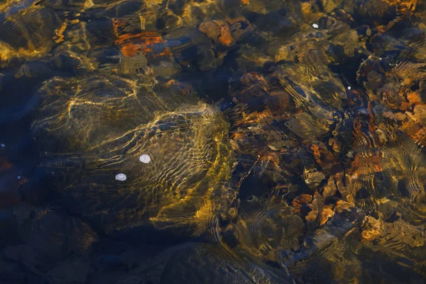 Torrente di montagna rocciosa. — Foto Stock