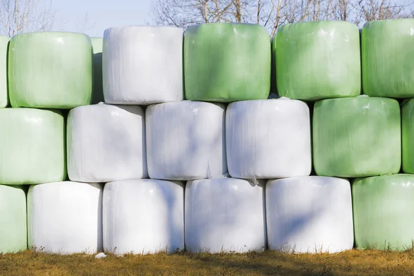 Hay bales on a farmland. — Stock Photo, Image