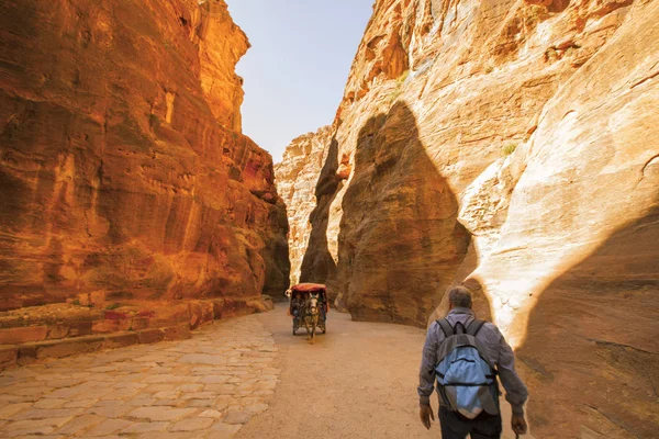 Views of the Lost City of Petra. — Stock Photo, Image